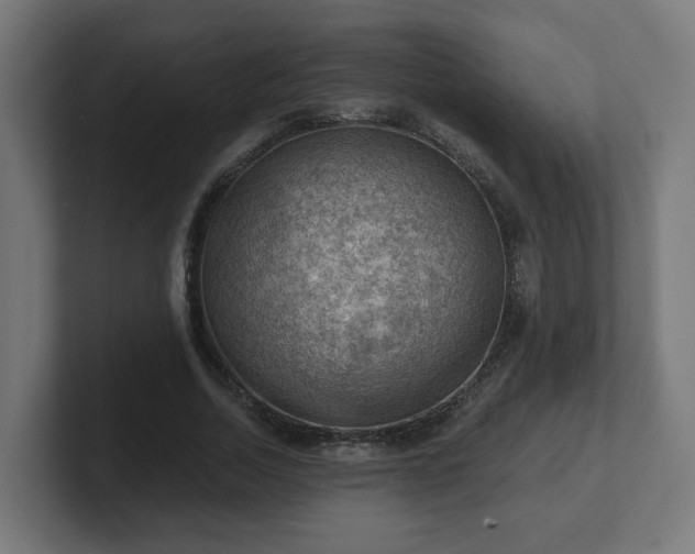 X0000101650730200807171252