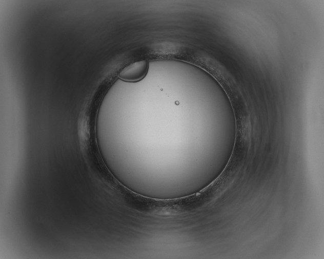 X0000101650731200807171252