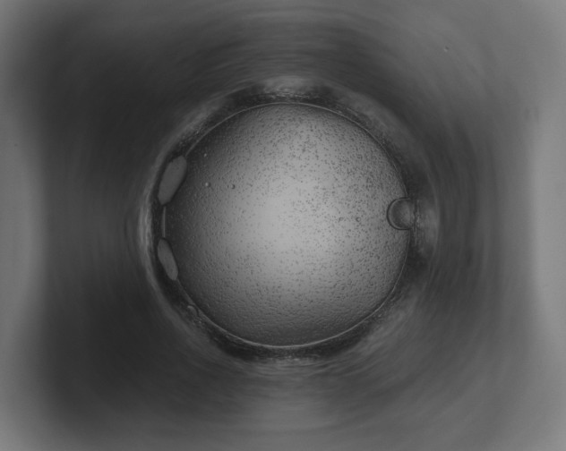 X0000101650734200807171253