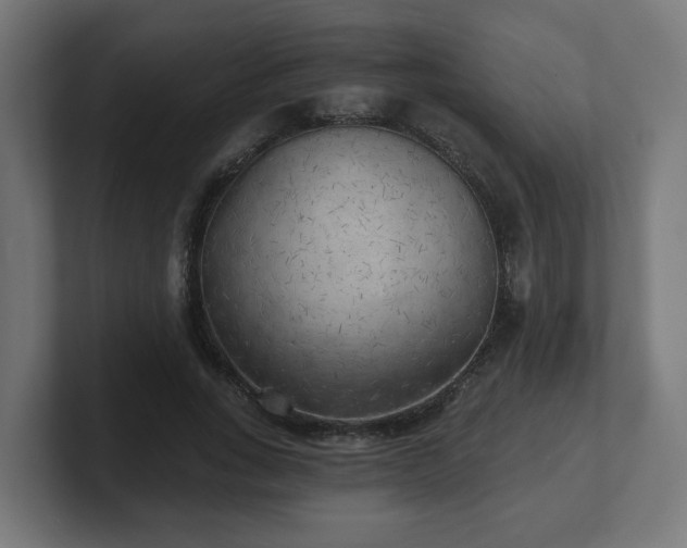 X0000101650735200807171253