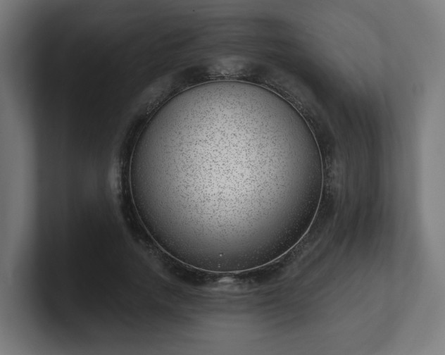 X0000101650738200807171253