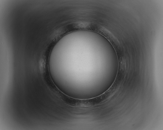 X0000101650739200807171253