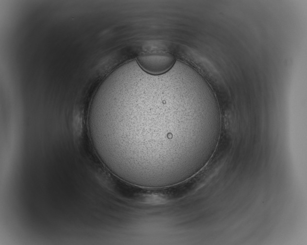 X0000101650741200807171253