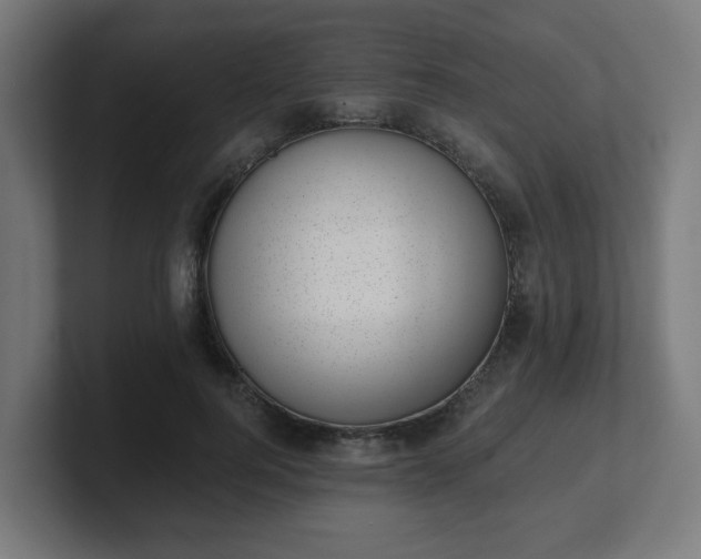 X0000101650744200807171253