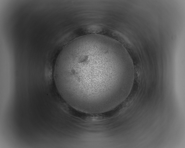 X0000101650745200807171253