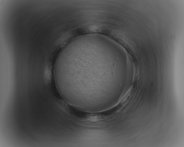 X0000101650746200807171253