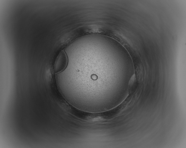 X0000101650747200807171253