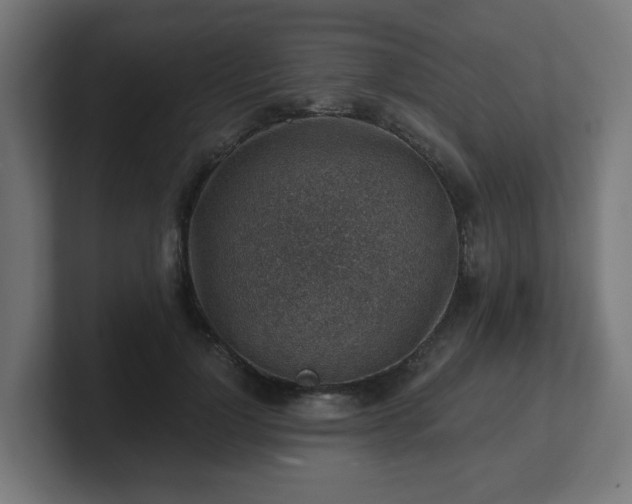 X0000101650748200807171253