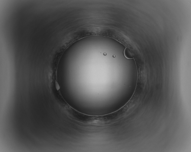 X0000101650750200807171253