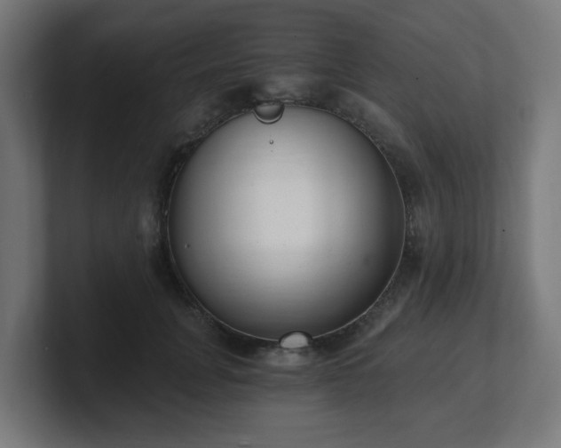 X0000101650751200807171253