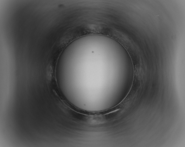 X0000101650752200807171253