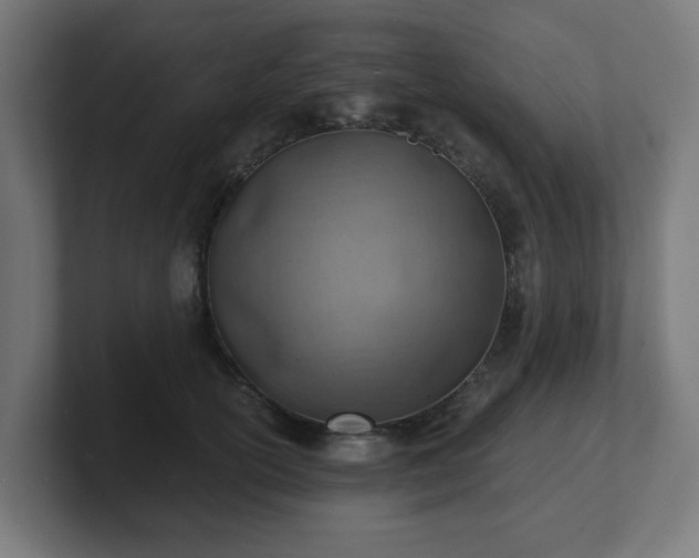 X0000101650754200807171253