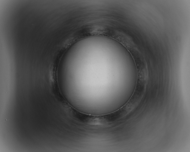 X0000101650755200807171253