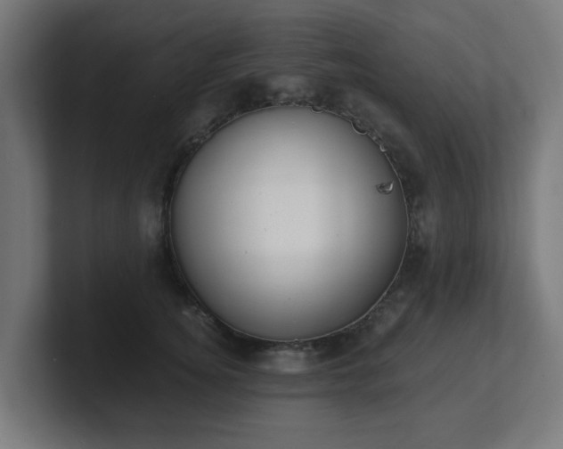 X0000101650756200807171253