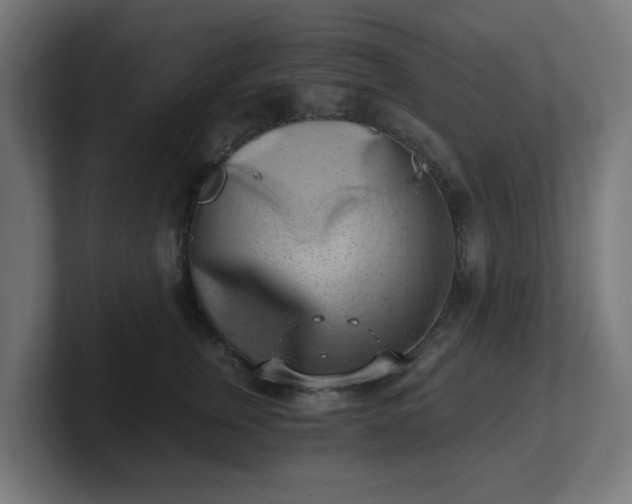 X0000101650759200807171253