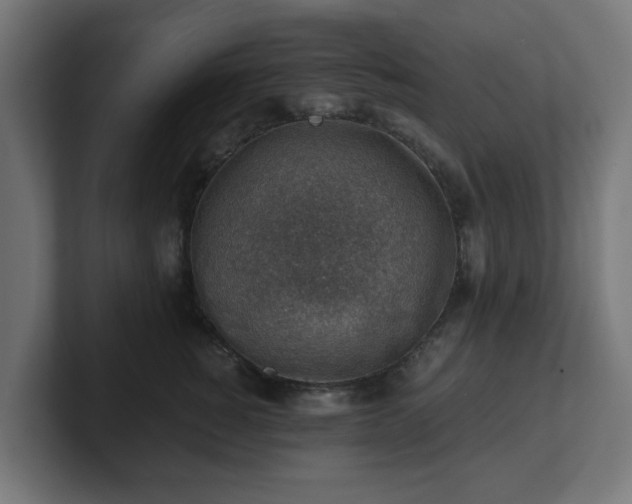 X0000101650760200807171253