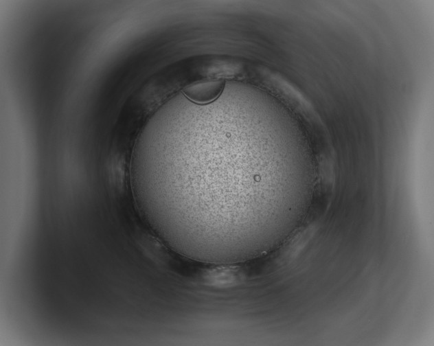 X0000101650761200807171253