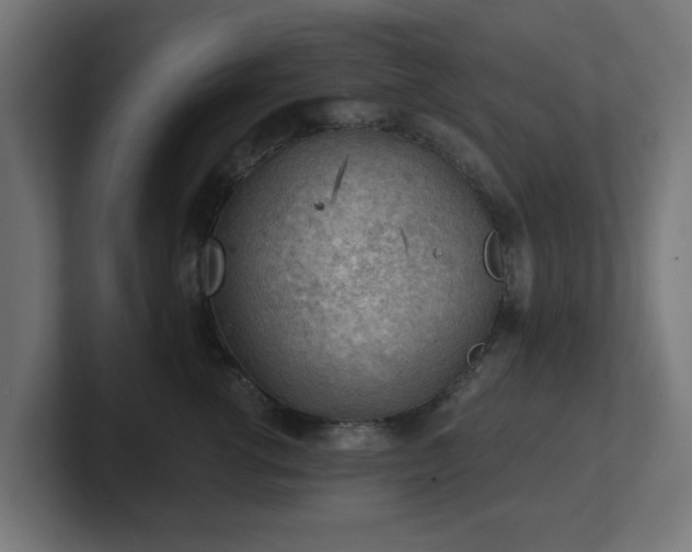 X0000101650762200807171253