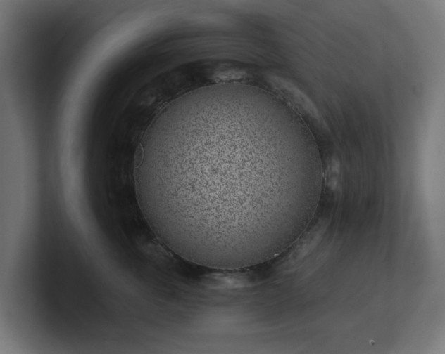 X0000101650763200807171253