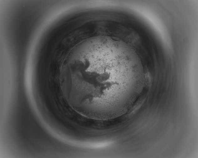 X0000101650765200807171253