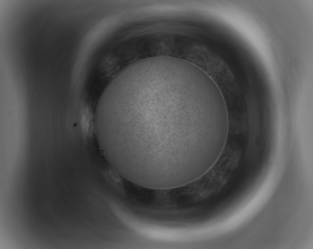 X0000101650766200807171253