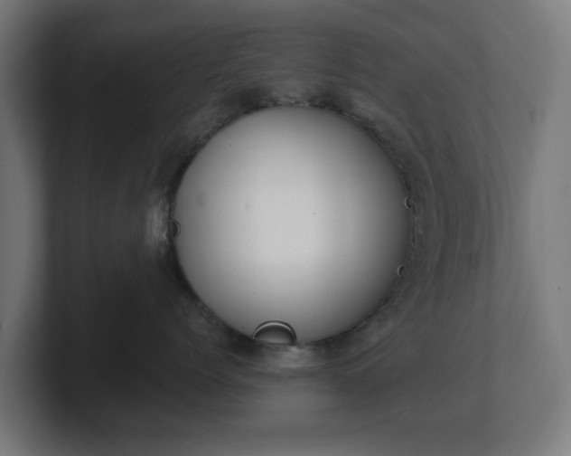 X0000101650768200807171253