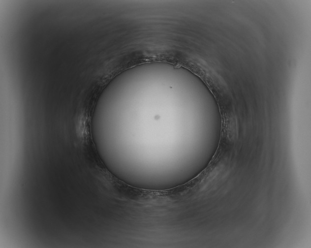 X0000101650770200807171252