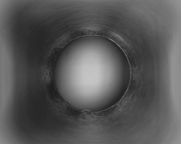 X0000101650774200807171252