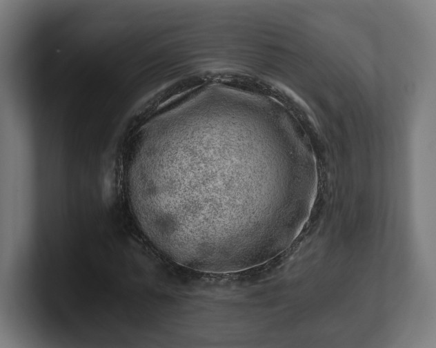 X0000101650775200807171252