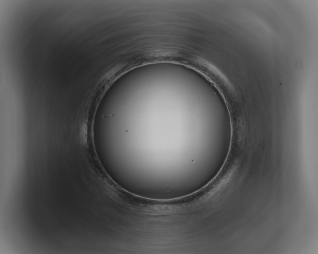 X0000101650777200807171252