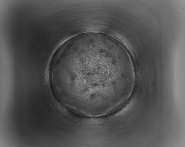 X0000101650779200807171252