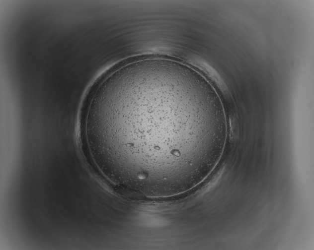 X0000101650780200807171252