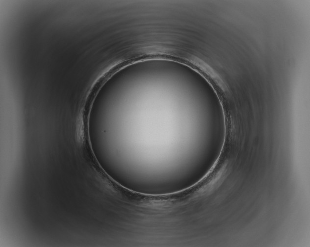 X0000101650782200807171252