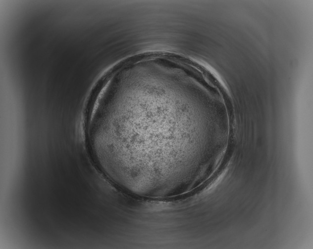 X0000101650783200807171252