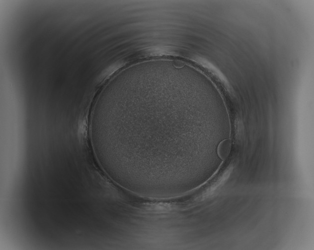 X0000101650785200807171252