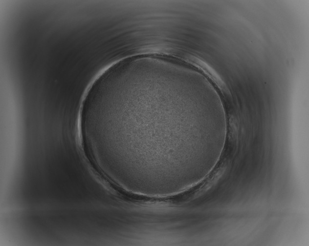 X0000101650788200807171252