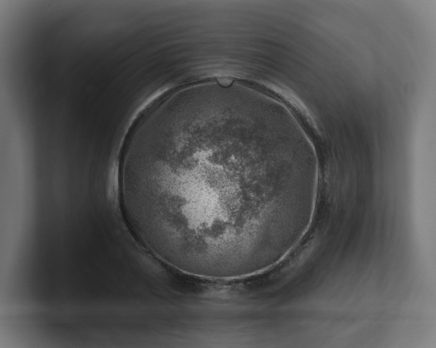 X0000101650790200807171252