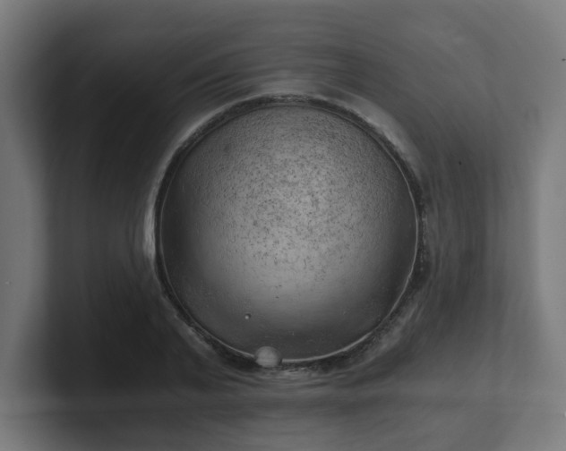 X0000101650791200807171252