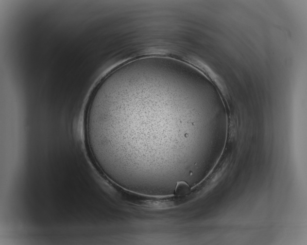 X0000101650795200807171252