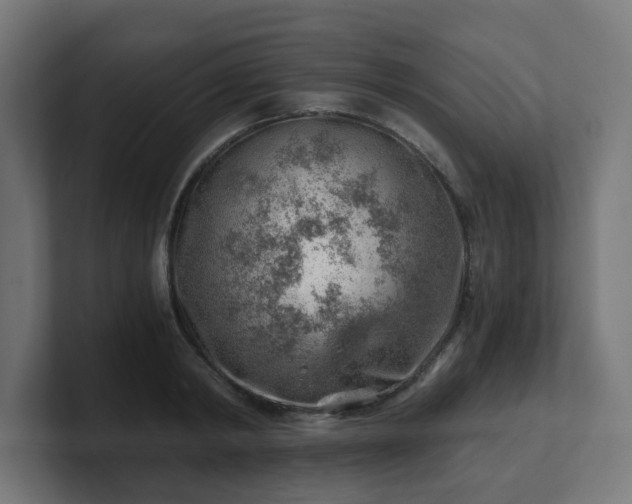 X0000101650798200807171252