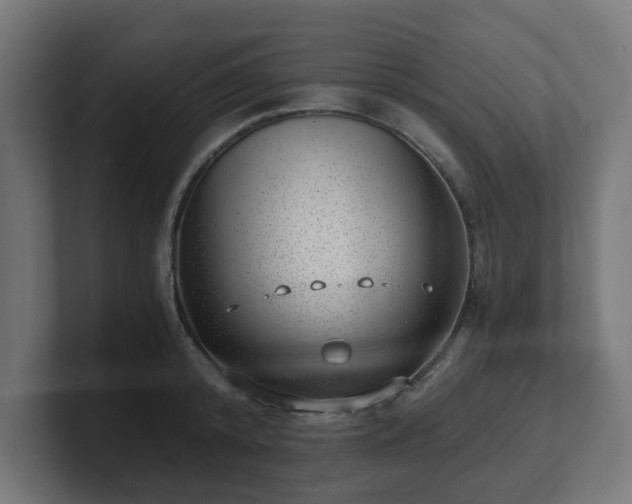 X0000101650800200807171252