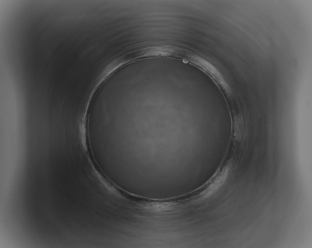 X0000101650802200807171252