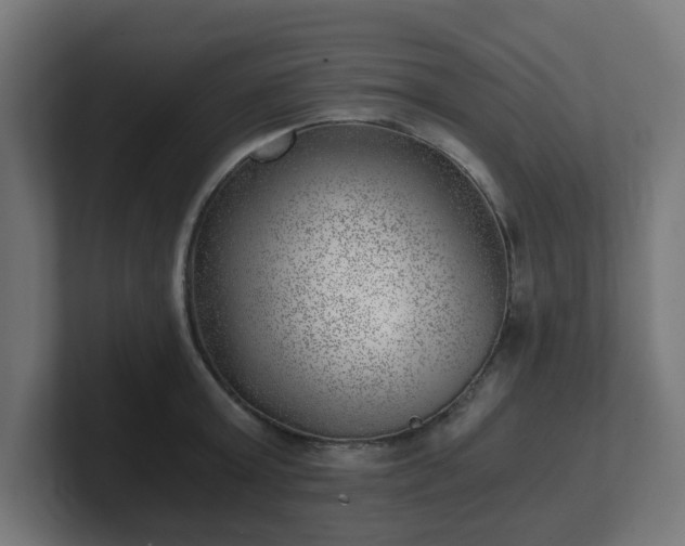 X0000101650803200807171252