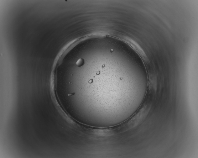 X0000101650804200807171252