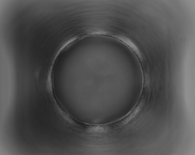 X0000101650806200807171252