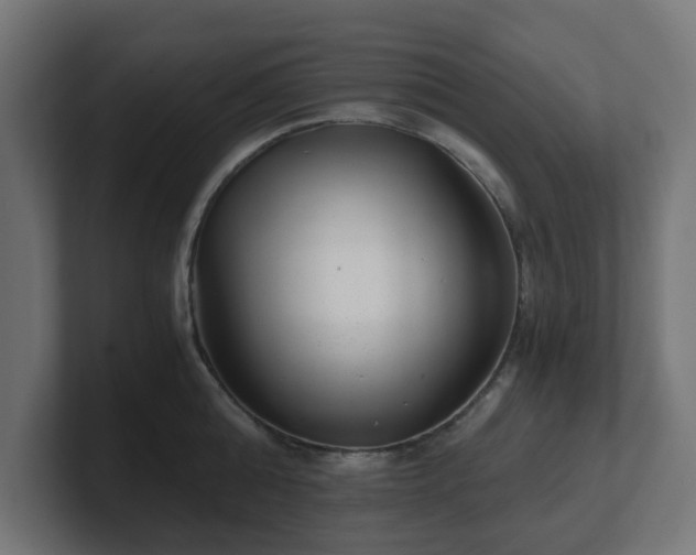 X0000101650808200807171252