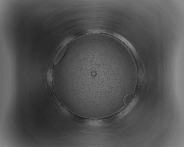 X0000101650809200807171252