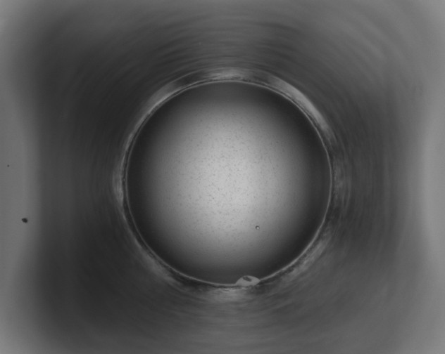 X0000101650810200807171252