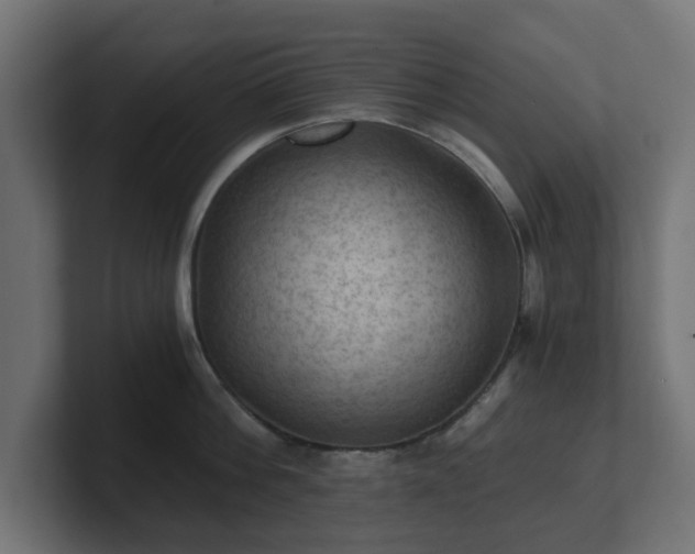 X0000101650812200807171252