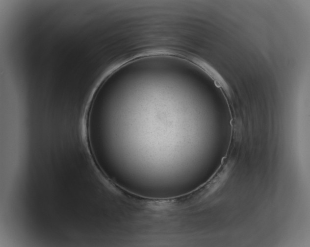 X0000101650813200807171252